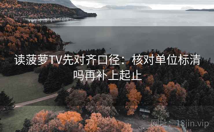 读菠萝TV先对齐口径：核对单位标清吗再补上起止